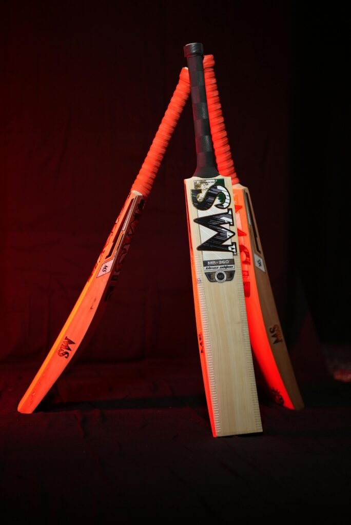 English Willow vs Kashmir Willow: Which Cricket Bat Is Right for You?